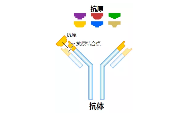 ecfb9ca67dd18b91.png ecfb9ca67dd18b91.png